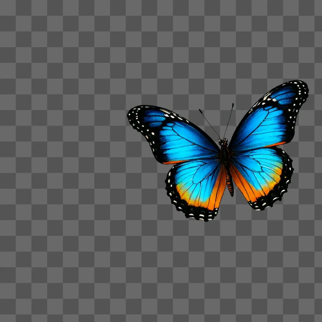 A beautiful butterfly with blue and orange wings