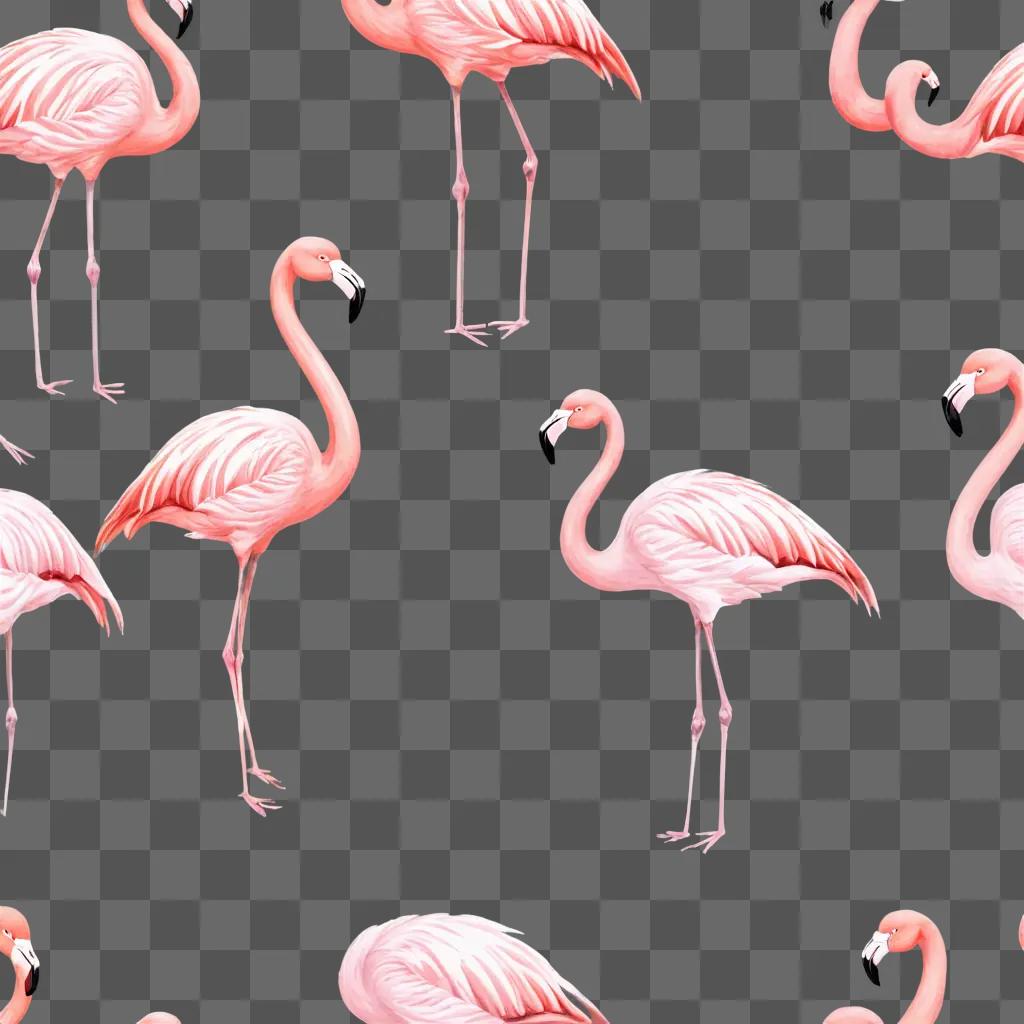 A beautiful flamingo drawing on a pink background