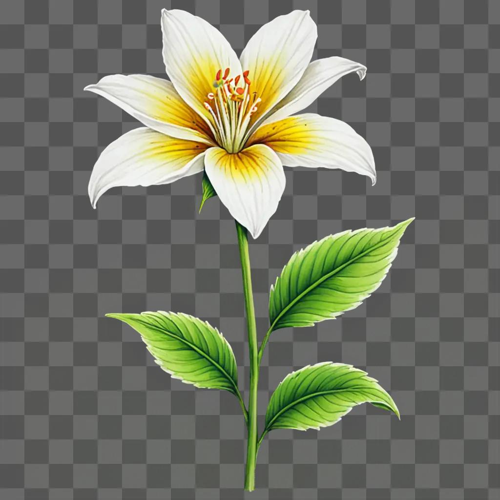 A beautiful flower drawing with leaves on a green background