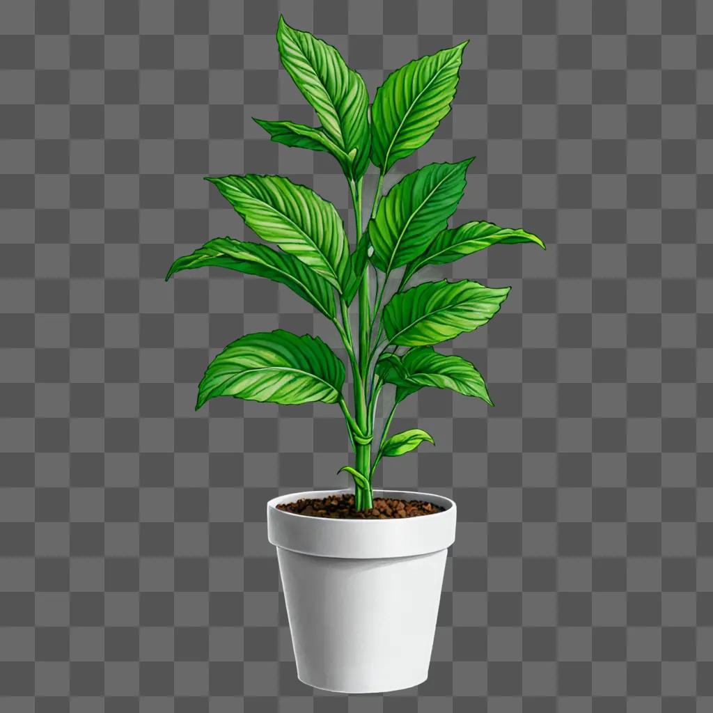 A beautiful plant drawing in a white pot