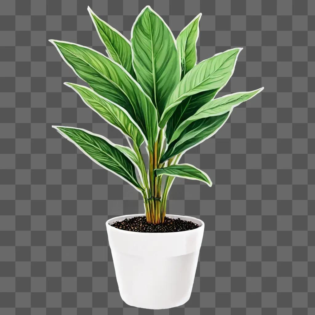 A beautiful plant drawing in a white pot