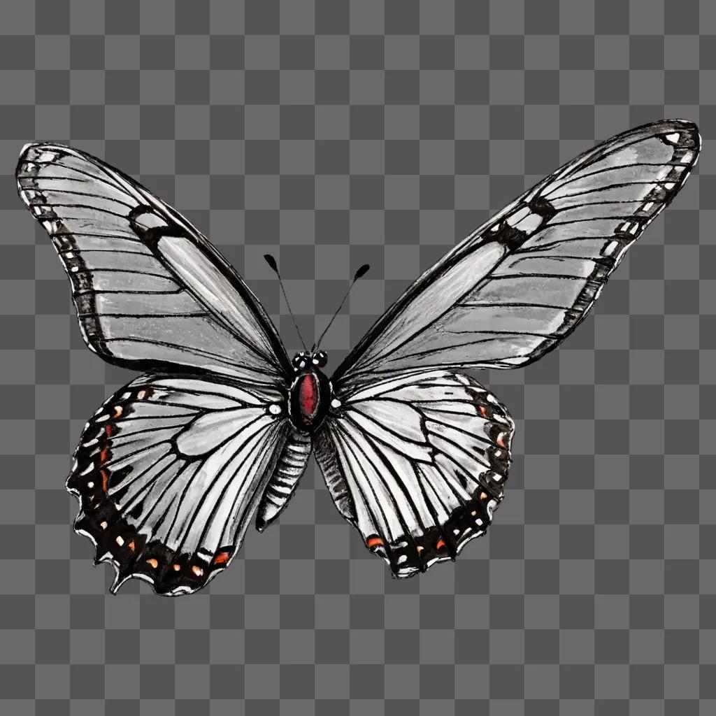 A black and white butterfly with a red eye is sketched