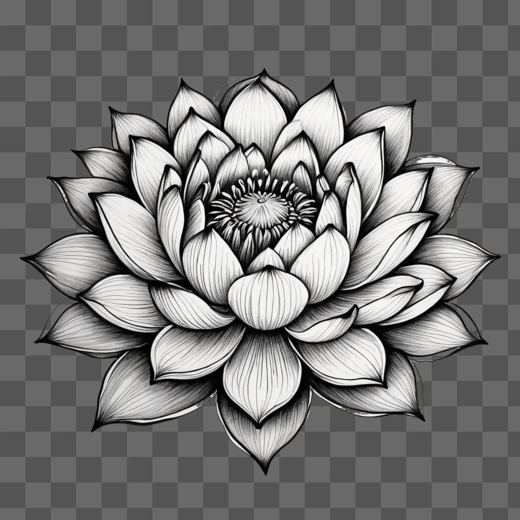 A black and white drawing of a lotus flower