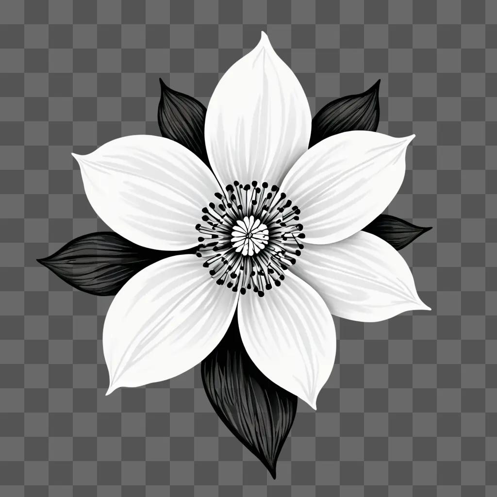 A black and white flower drawing in the center of a dark background