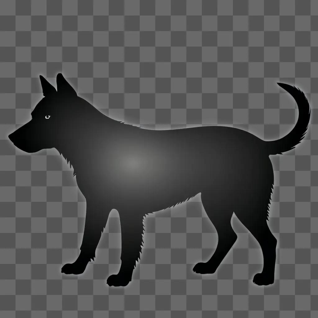 A black dog silhouette stands in the dark