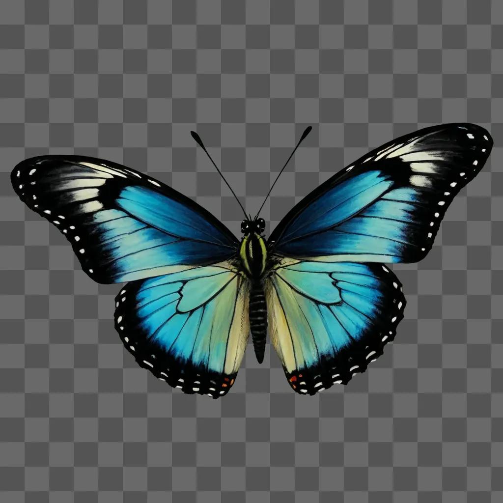 A blue and black butterfly with black and white wings