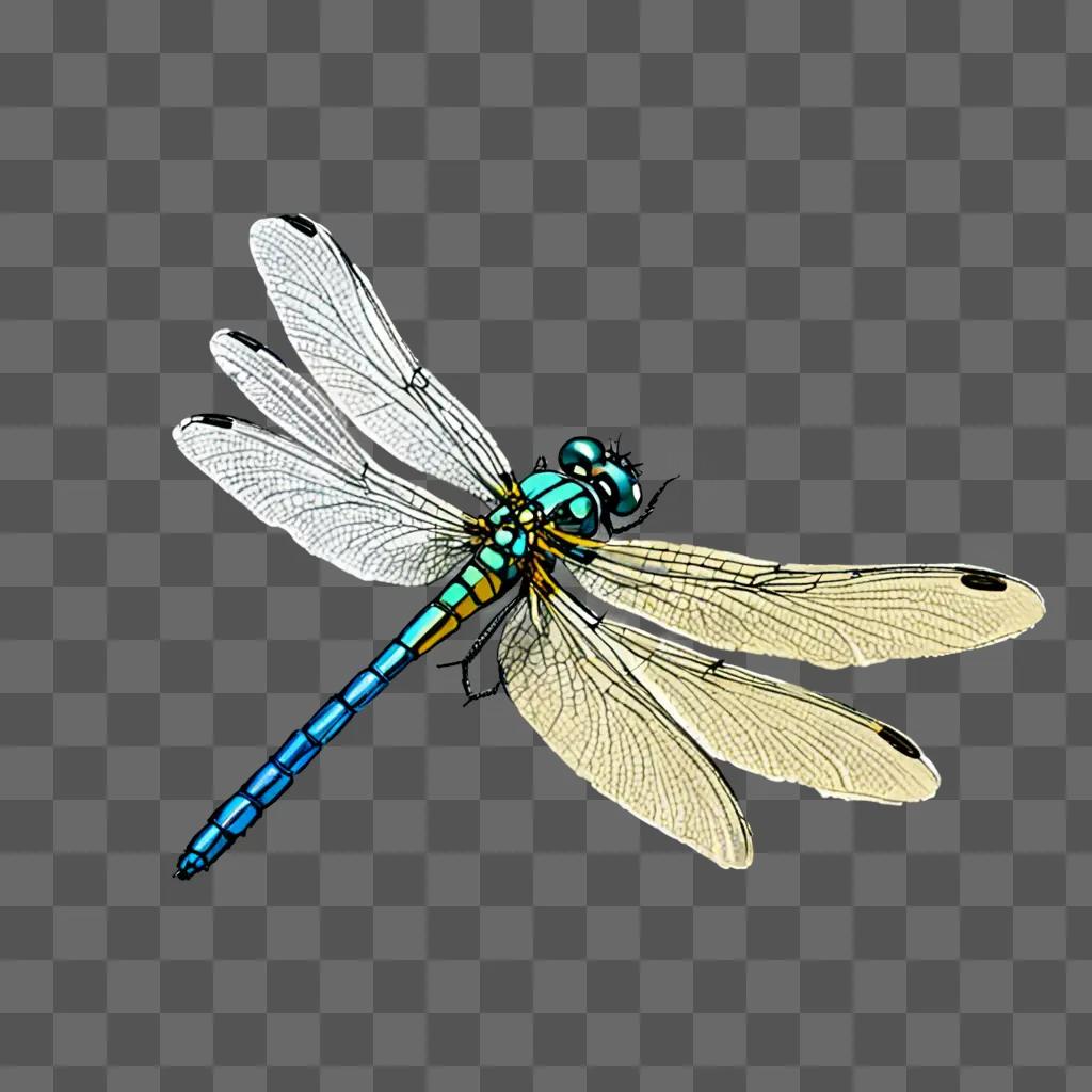 A blue and yellow dragonfly is drawn on a white background