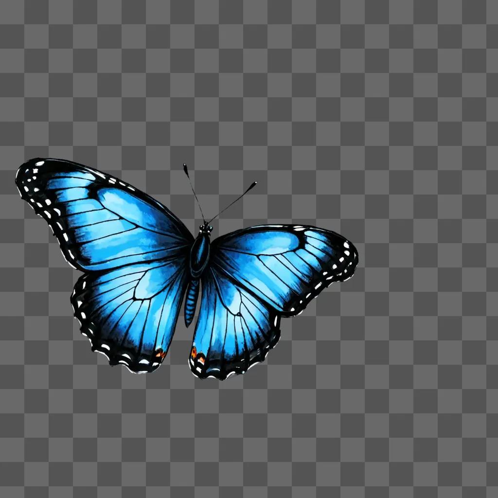 A blue butterfly drawing on a blue background