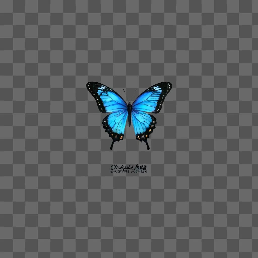 A blue butterfly is drawn simply and elegantly