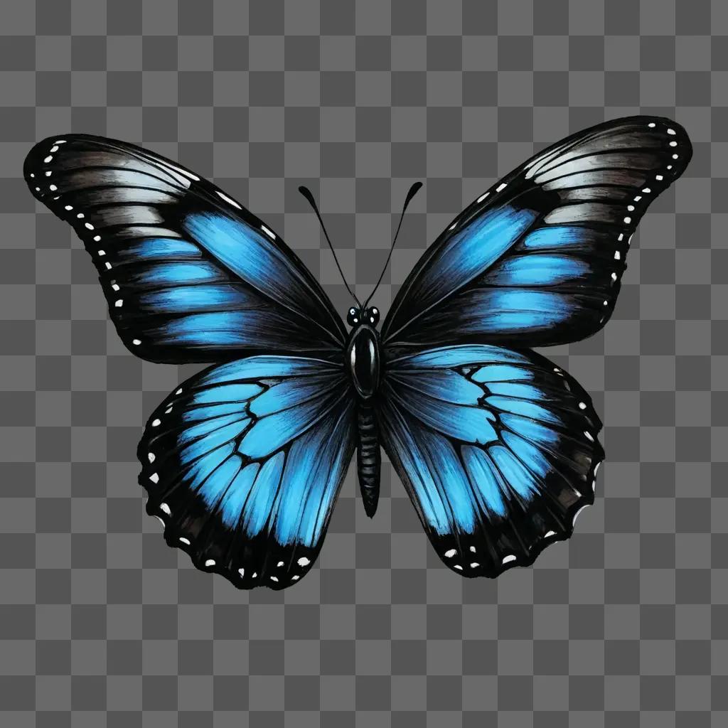 A blue butterfly with black and white wings