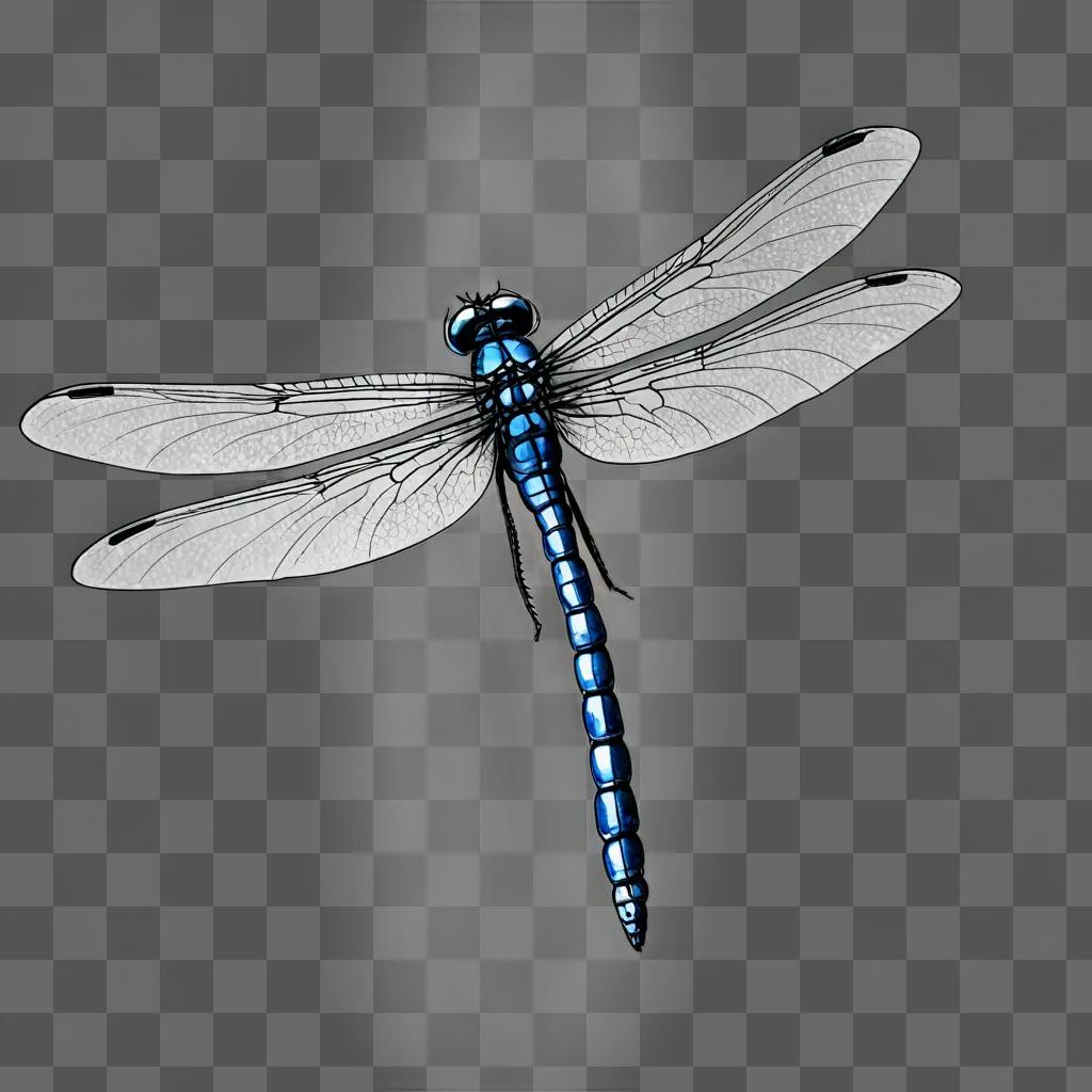 A blue dragonfly is sketched on a white background