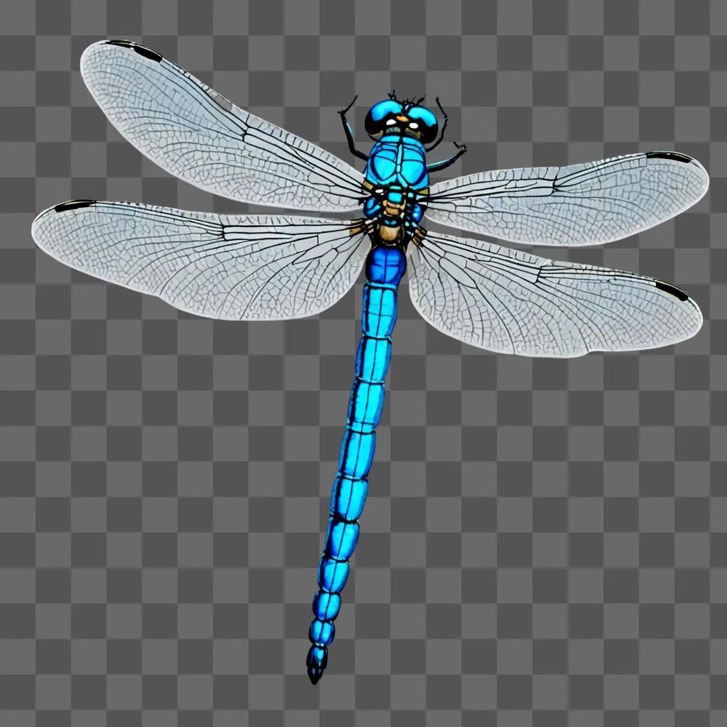 A blue dragonfly with a beautiful drawing