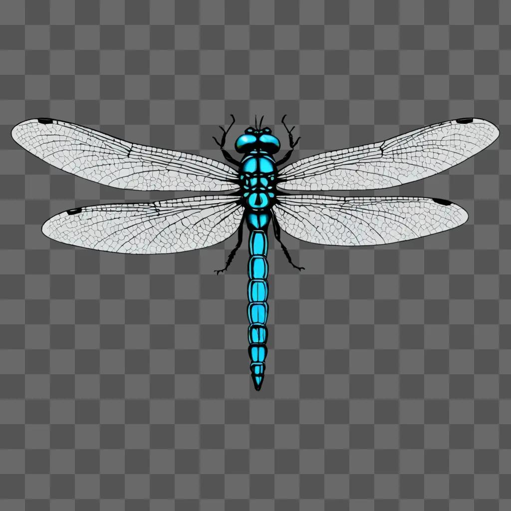 A blue dragonfly with white wings on a grey background