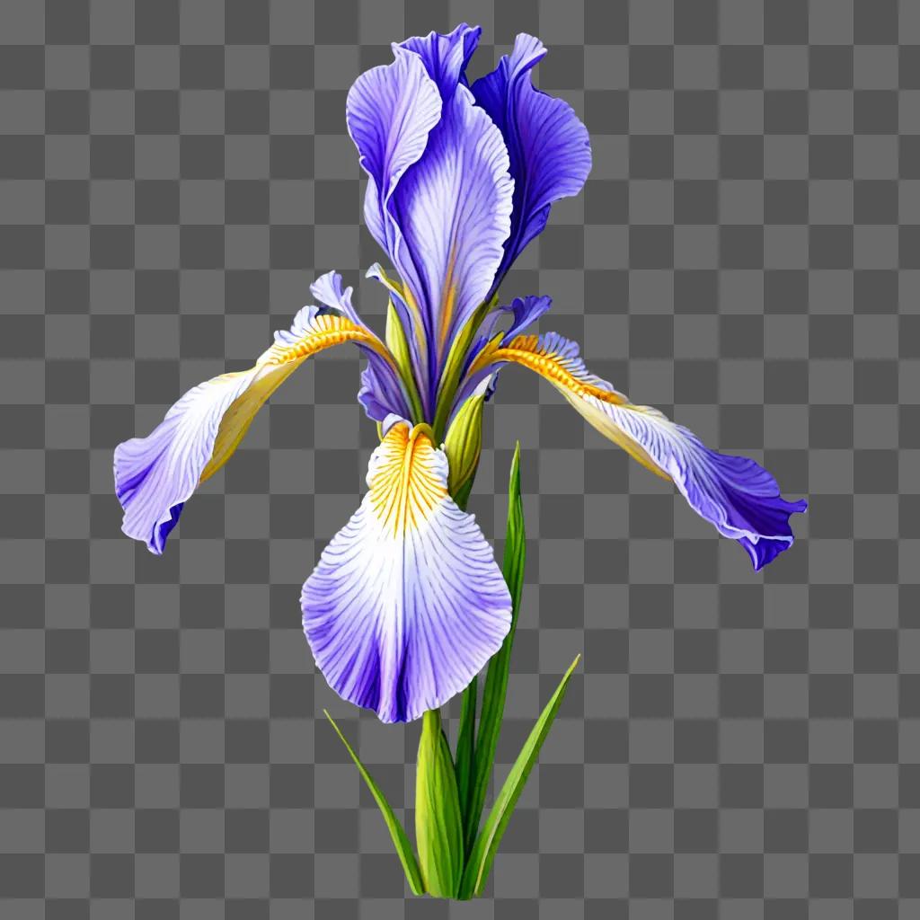 A blue iris drawing on a purple background