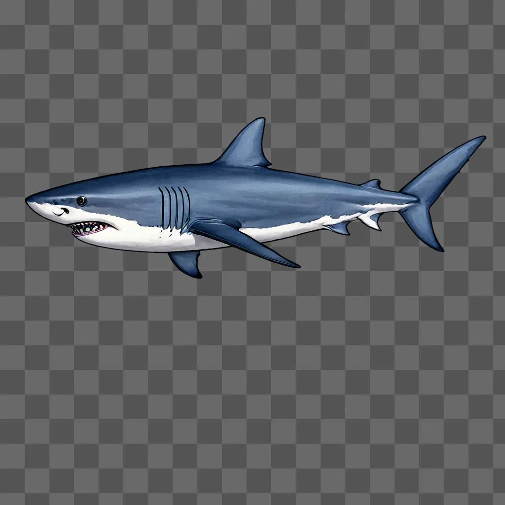 A blue shark drawing with white color lines