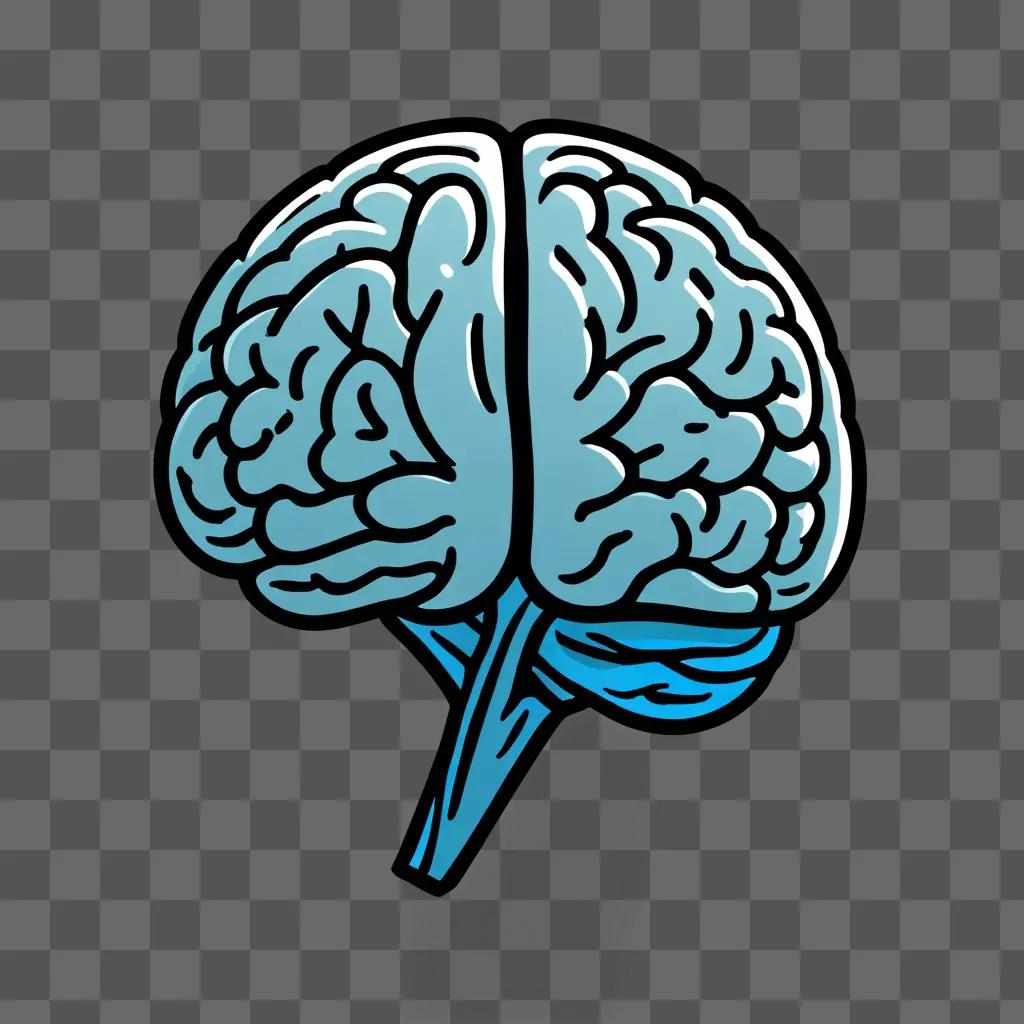 A brain sketch with two sides