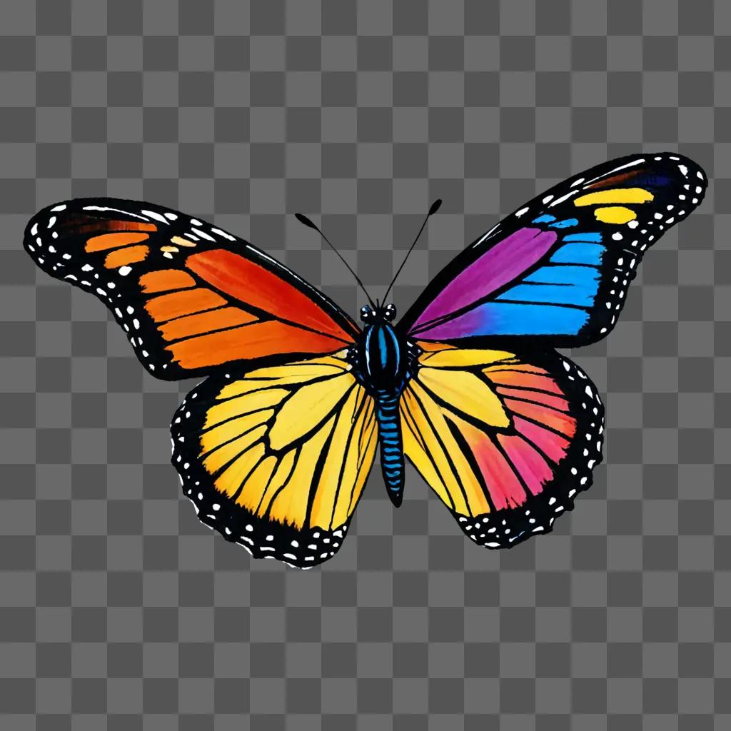 A butterfly with colour drawn on it