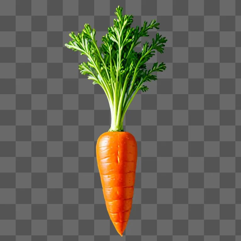 A carrot with a green leafy stem