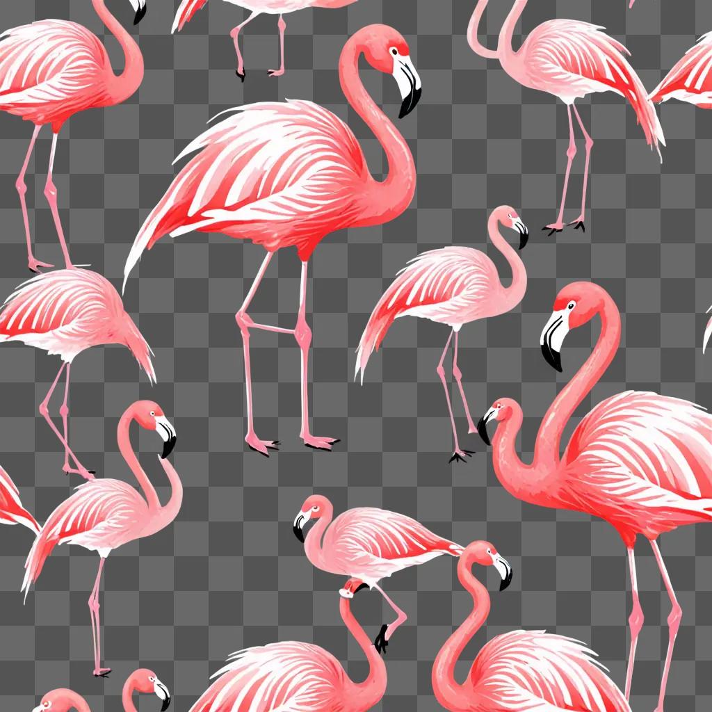 A collection of flamingos illustrated on a pink background