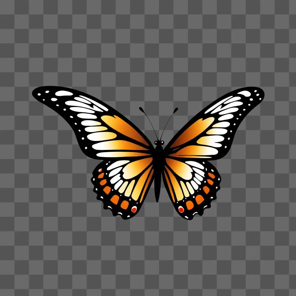 A colorful butterfly sits on a dark background