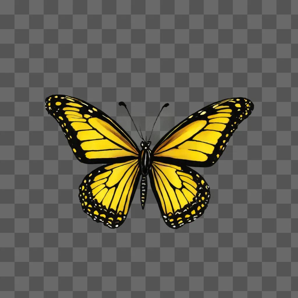 A colorful butterfly with black and yellow wings