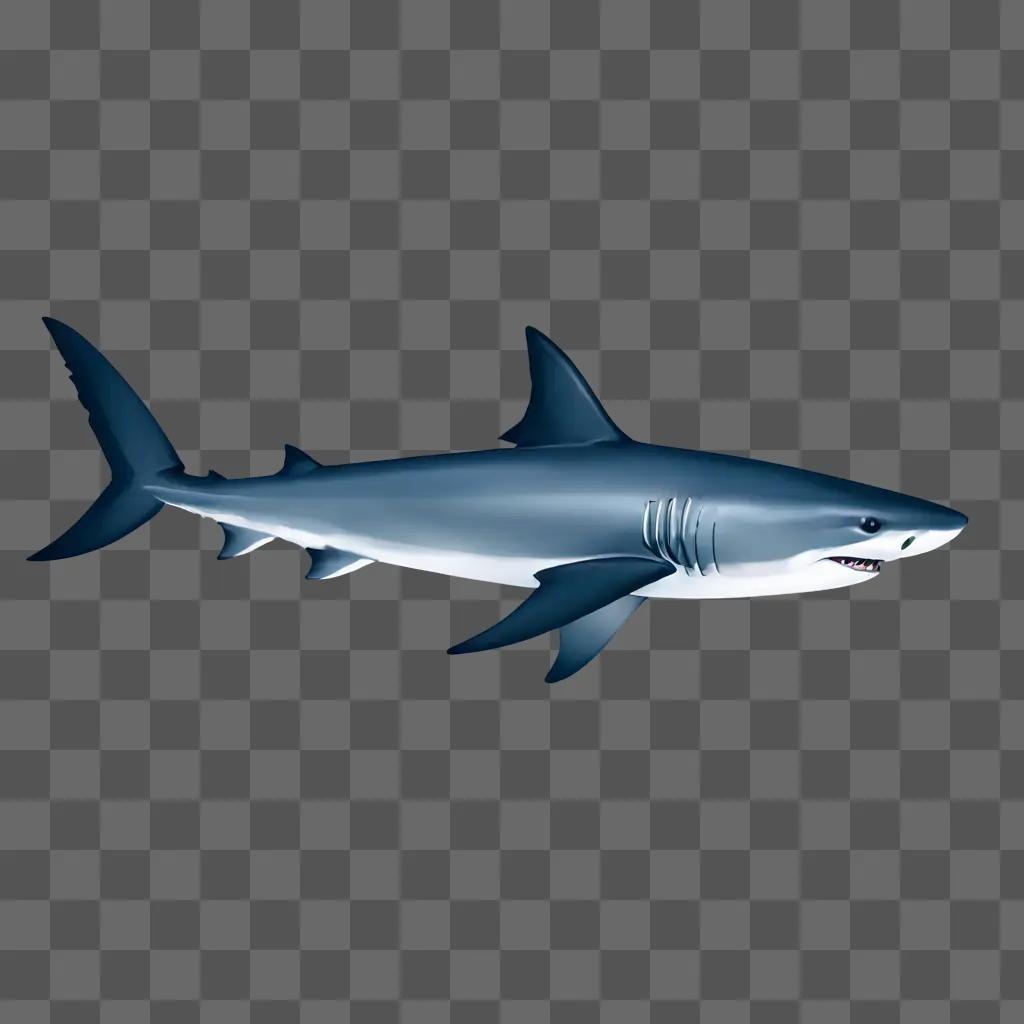 A coy shark drawing with blue background and white outline