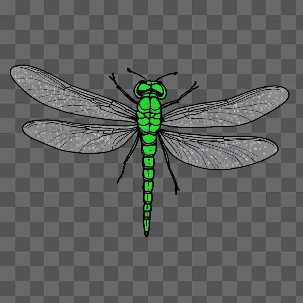 A cute green dragonfly on a gray background