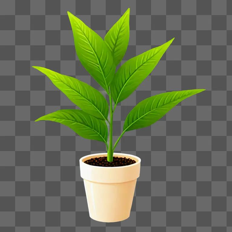 A cute plant drawing in a white pot