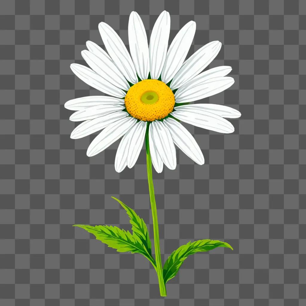 A daisy drawing with a green leaf