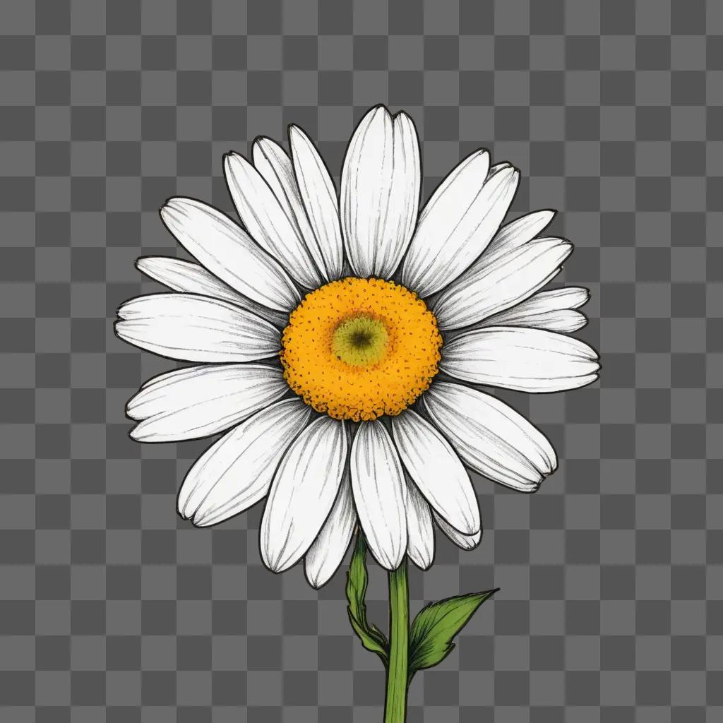 A daisy flower drawing with a black background