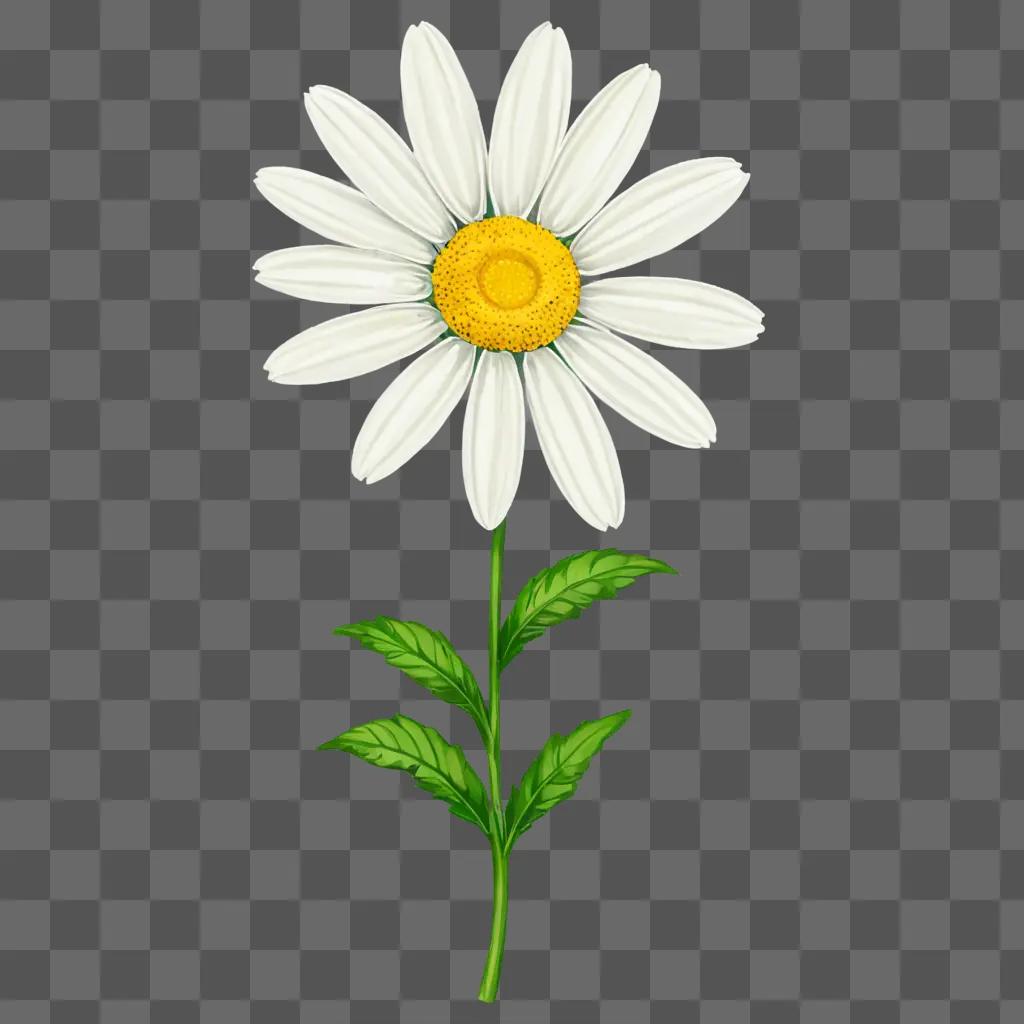 A daisy flower drawing with green leaves