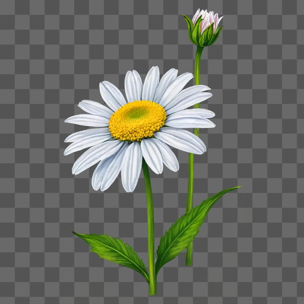 A daisy is in a drawing on a green background