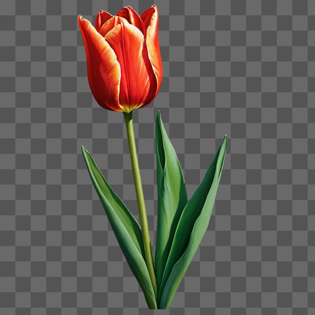 A digital drawing of a red tulip flower