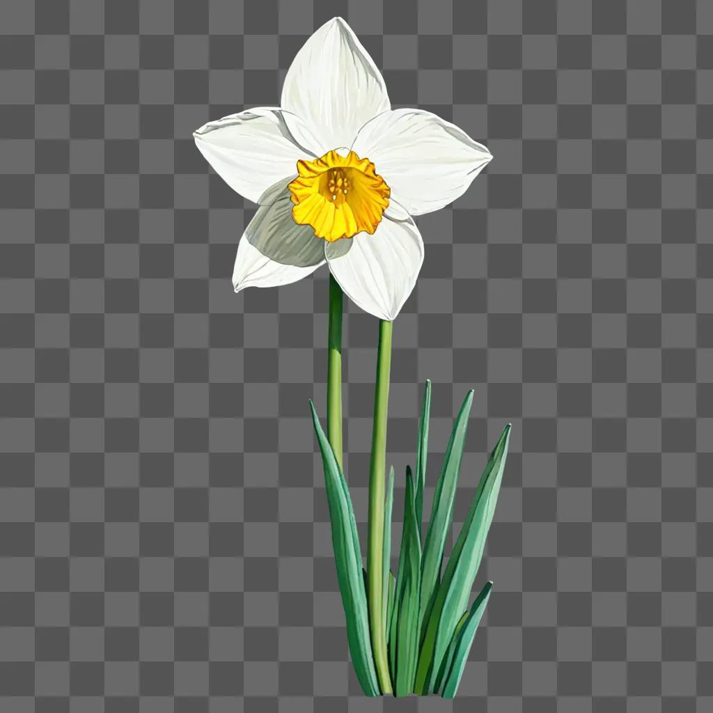 A digital drawing of a white narcissus flower