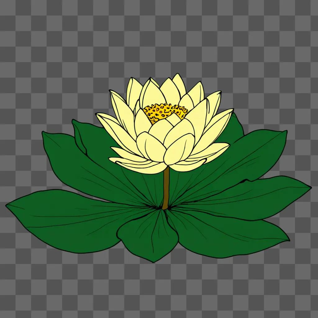 A drawing of a lotus flower on a green background