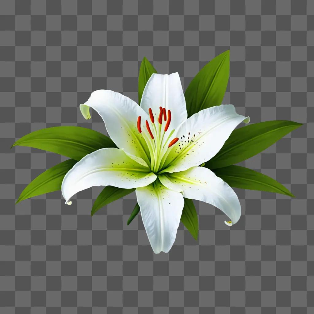 A drawing of a white lily with red tips