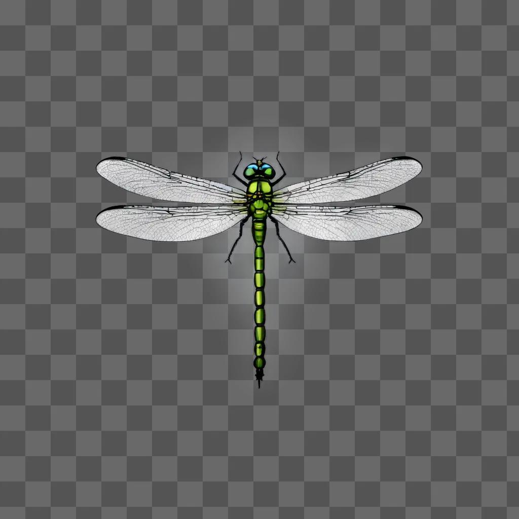 A green dragonfly sits on a gray background