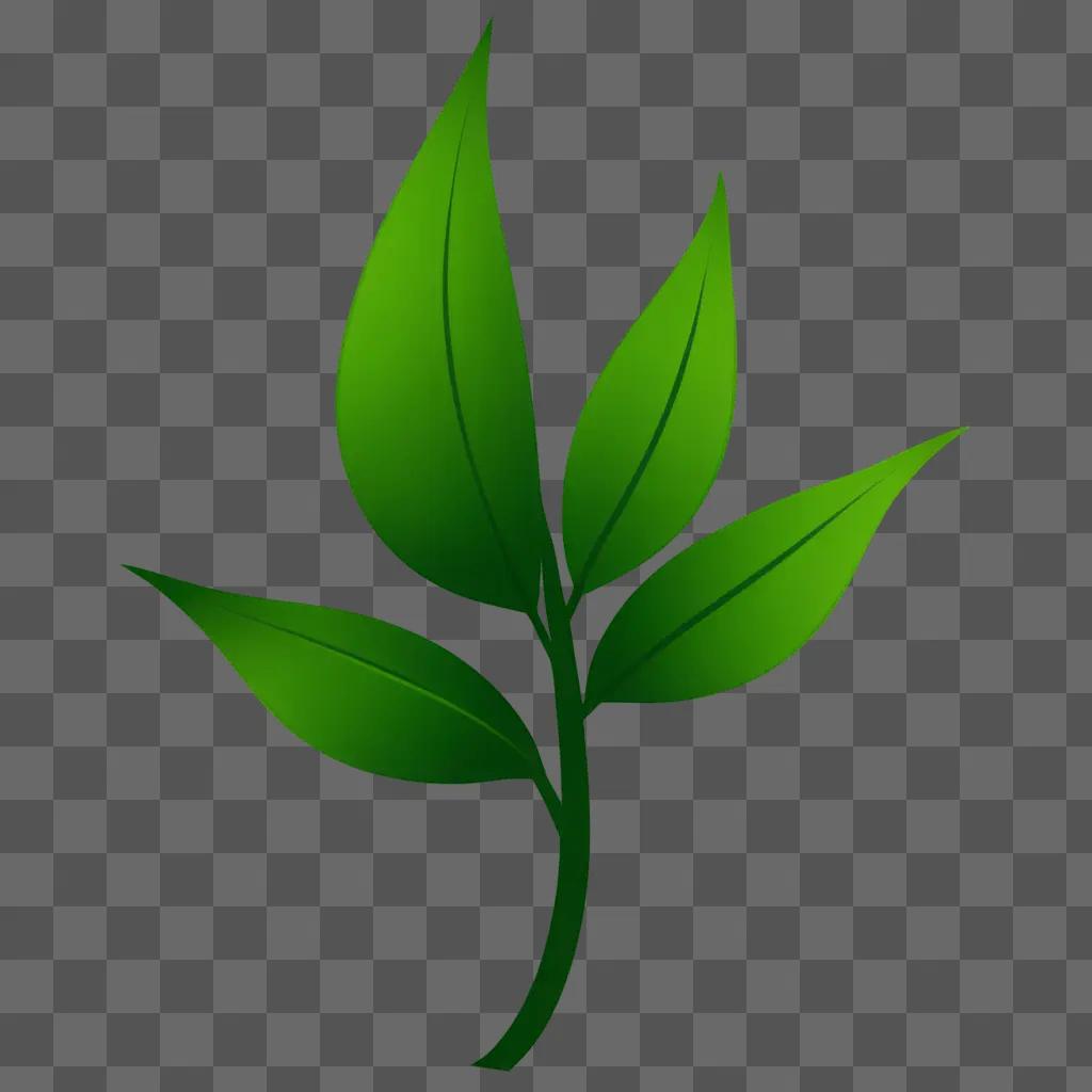 A green leafy plant clipart on a green background