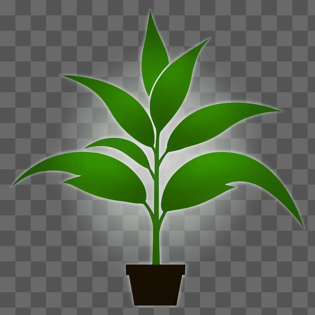 A green plant silhouette against a green background