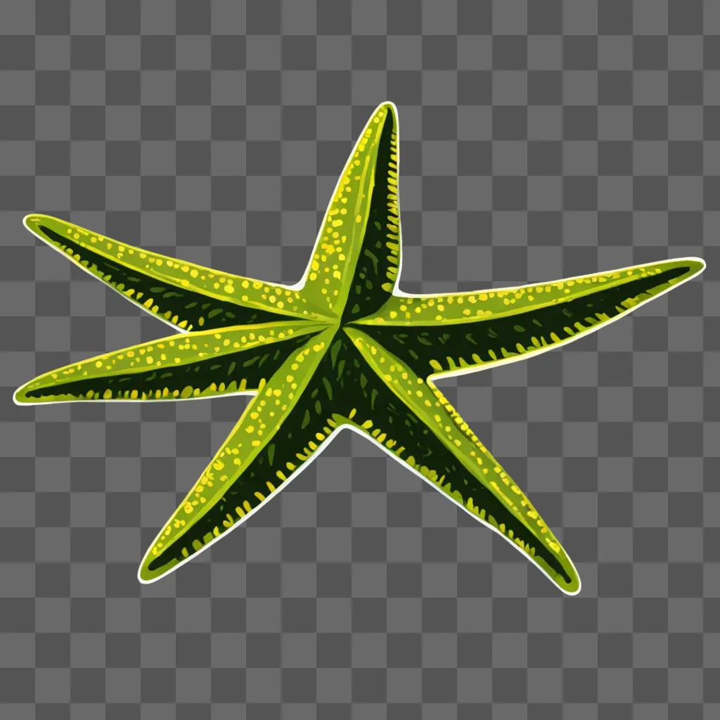 A green starfish drawing on a green background