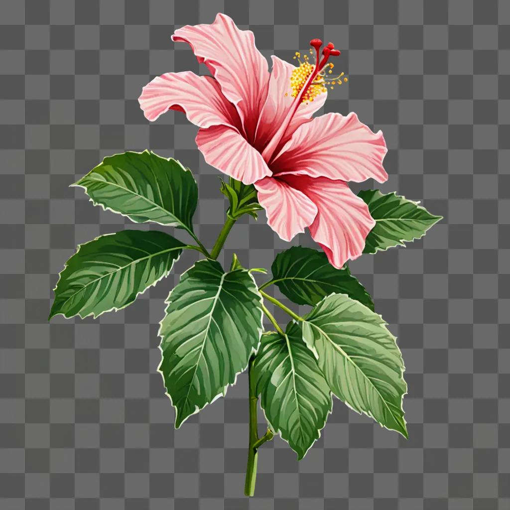 A hibiscus flower drawing on a green background