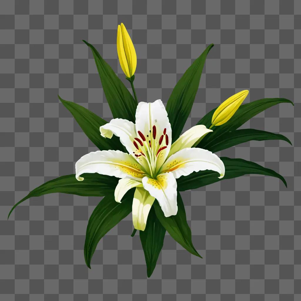 A lily flower drawing on a green background