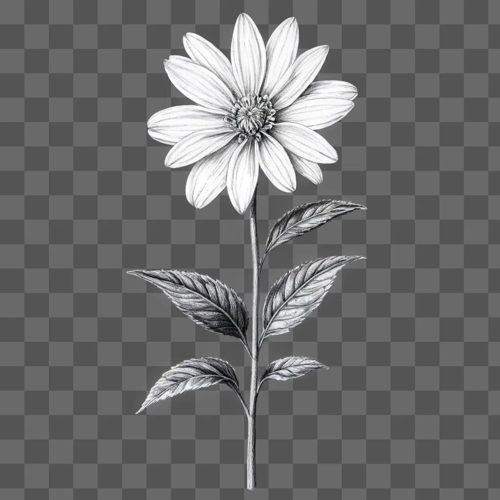 葉っぱと鉛筆の花の絵