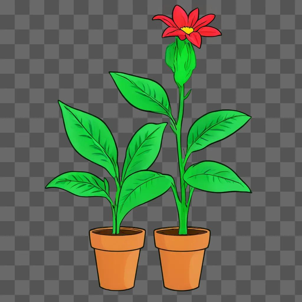 A plant drawing for kids with red flower in pot