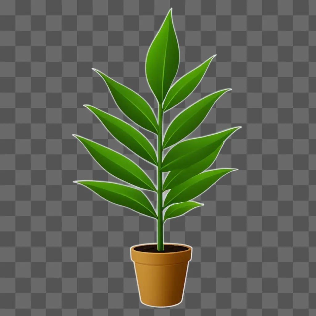 A plant in a pot on a green background