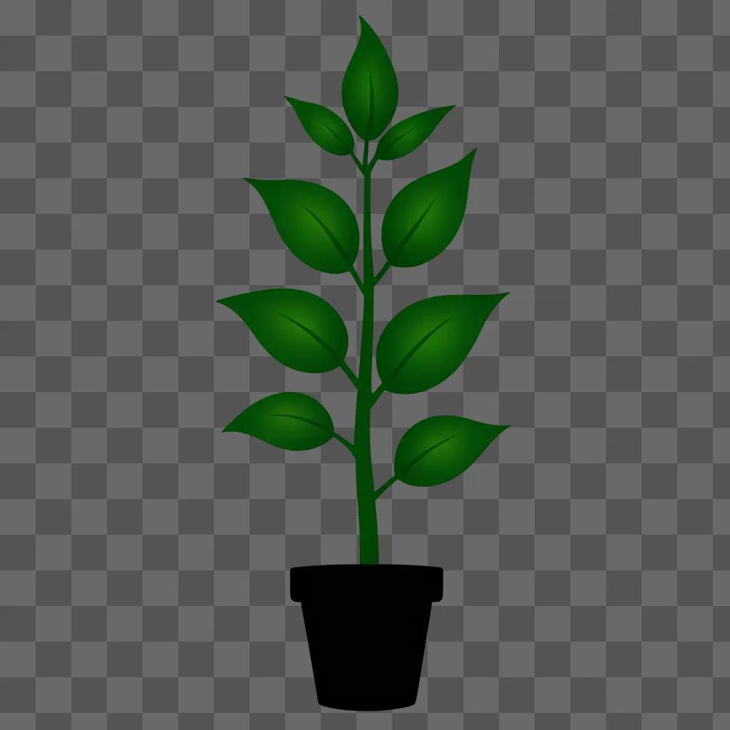 A plant silhouette with green leaves on a dark background