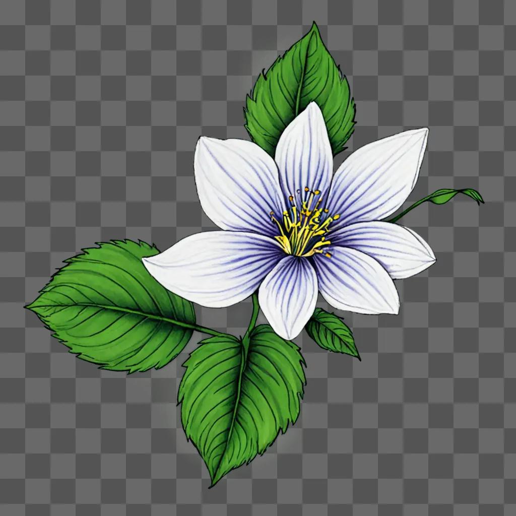 A pretty flower drawing is set against a green background