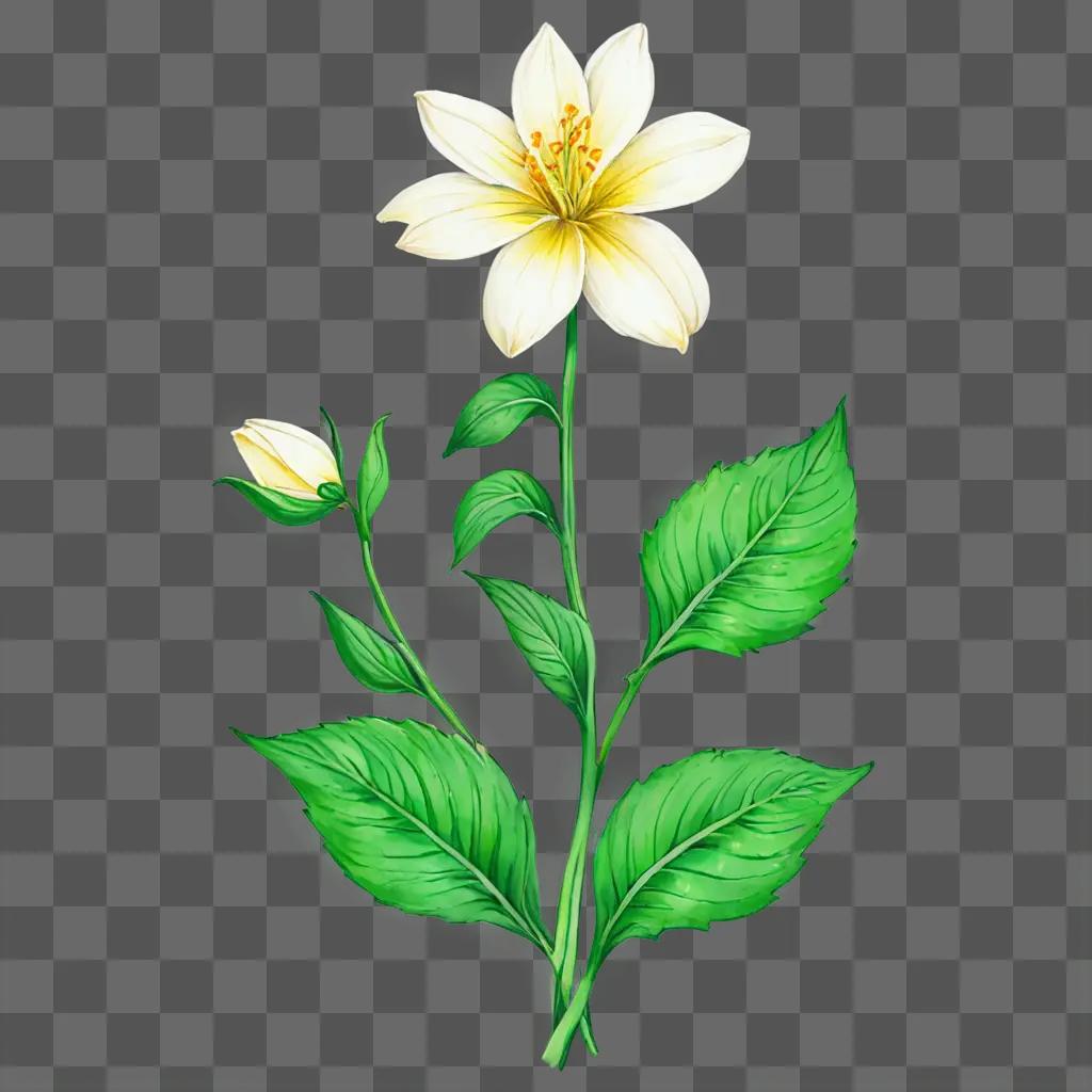 A pretty flower drawing on a green background