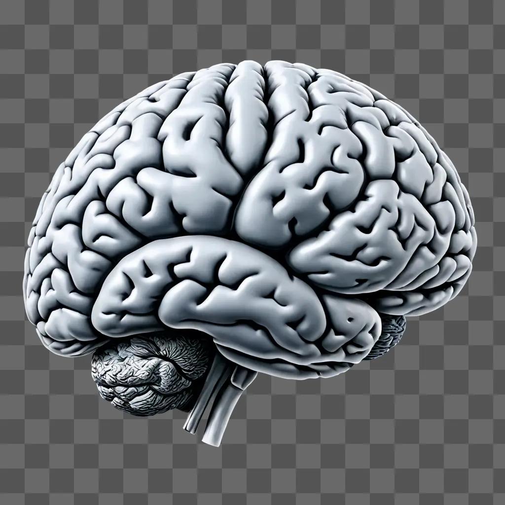 A realistic brain drawing with a gray background