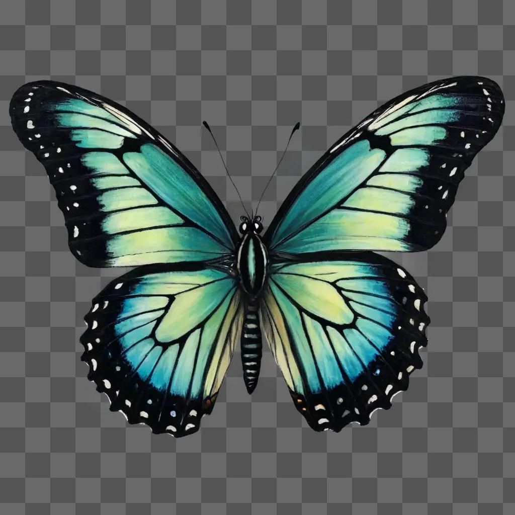 A realistic butterfly drawing is shown in a dark background